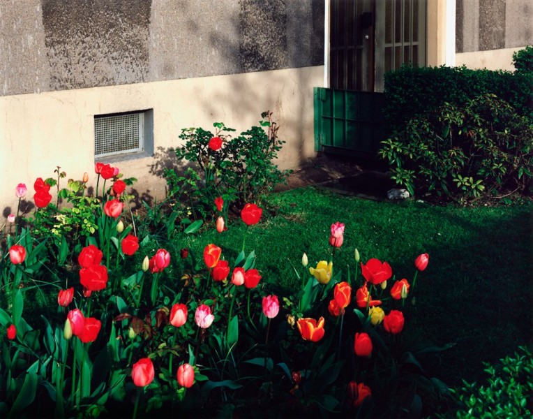 Jörg Steck - Tulpenvorhof