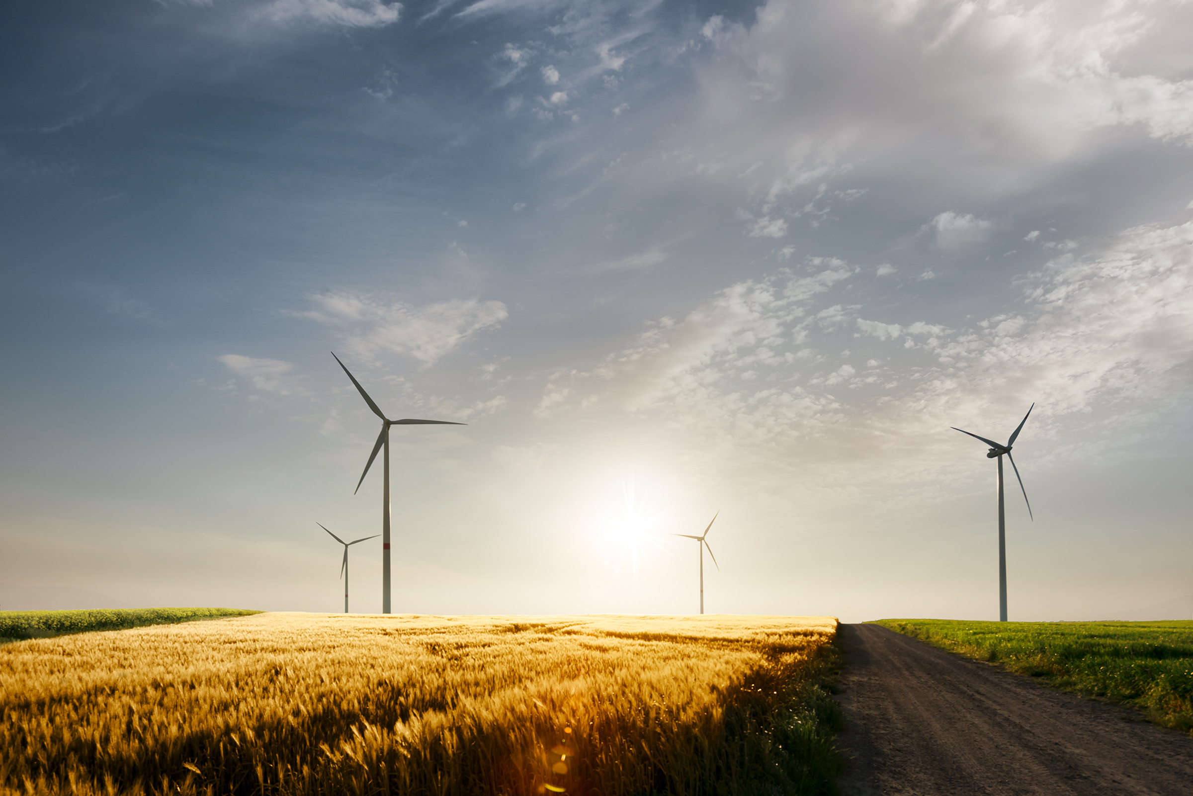 wind power from a wind farm